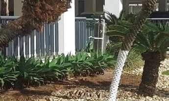 Imagem 7: Apartamento de 2 dormitórios à venda em Jurerê Int