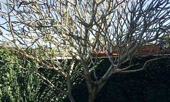 Imagem 5: Casa para locação, Terra Bonita, Londrina, PR