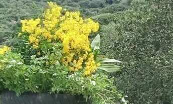 Imagem 2: Chácara com piscina próximo a Juquitiba