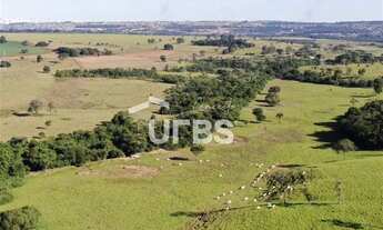 Imagem 7: FAZENDA PARA LOTEAMENTO