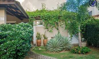 Imagem 5: Onde o Verde é Protagonista