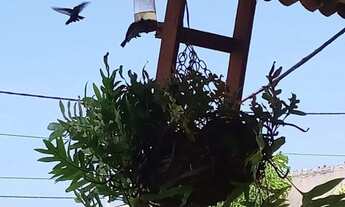 Imagem 3: Casa para alugar