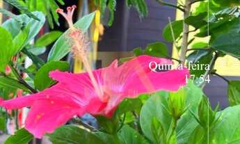 Imagem 3: Oportunidade Única: Pousada à Venda em Garopaba-SC, Bairro Limpa - 1 Sala, 1 Banheiro, 1 V