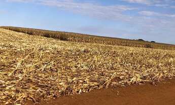 Imagem 7: Fazenda de 158 alqueres no Município de Parauna no estado do Goiás