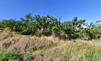 Imagem 7: Sítio - Morro das Pedras - Valinhos