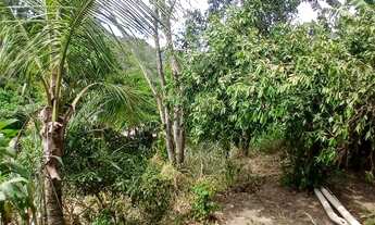 Imagem: Vendo terreno