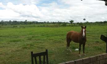 Imagem 6: Vendo esta fazenda formada!!