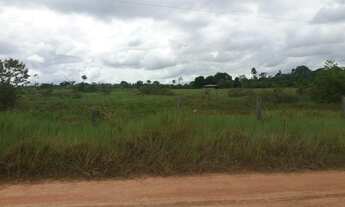 Imagem 7: Vendo esta fazenda formada!!