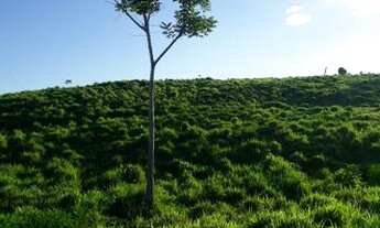 Imagem 6: Terra, sítio,Colônia