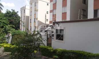 Imagem 2: Apartamento - Vila Industrial - Campinas