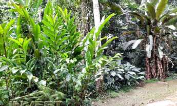Imagem 5: Ubatuba, Praia do Félix, Terreno de 1.000m2, com licenciamento finalizando e com projeto p