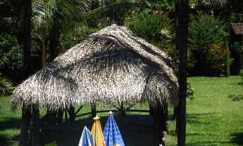 Imagem 6: Sitio em parada ideal