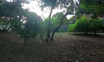 Imagem 4: Vendo Lote Pedrinhas