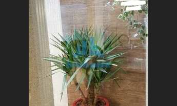 Imagem 4: Magnífica Casa Triplex em Camboinhas