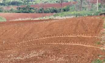 Imagem 5: Fazenda de 25 alqueires Região de Santa Rosa do Viterbo