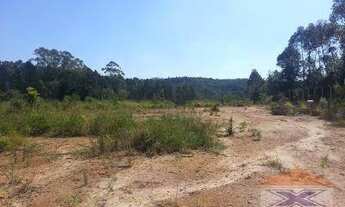 Imagem 4: Terreno à venda, 5000 m² por R$ 400.000,00 - Caete (Mailasqui) - São Roque/SP
