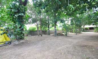 Imagem 3: Terreno - Campeche - Florianópolis