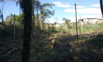 Imagem 4: Terreno Terreno / lote com venda por R$5.000