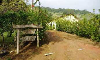 Imagem 7: Vendo belissima propiedade de 25,5 hectares em bonito PE