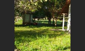 Imagem 3: Sítio 20 ha - Excelente Oportunidade - Porteira Fechada com Escritura e Registro de Imóvel