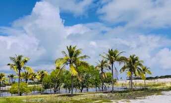 Imagem 4: Lote/Terreno NO LANÇAMENTO DO CONDOMINIO RESERVA SAUÍPE