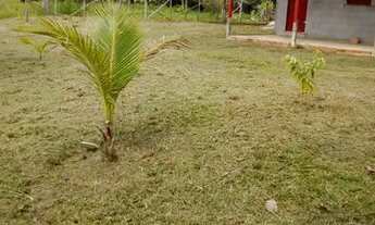 Imagem 5: Sítio Chácara com venda por R$80.000