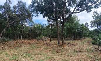 Imagem 6: Dois hectares a 12 km de Campo Grande