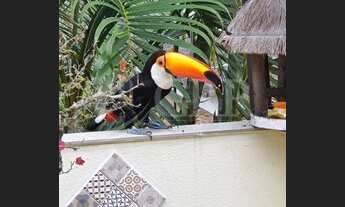 Imagem 6: Aluga-se Casa de 3 dormitórios no condomínio Lagoinha Jacarei/SP