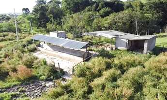 Imagem 3: Fazenda com área de 32,5 hectares todo formado com lagoa e ótima cede em Itaúna/ MG