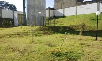 Imagem 6: Aluga Apartamento Térreo com Quintal - Novo