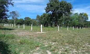 Imagem 3: Dois hectares a 12 km de Campo Grande