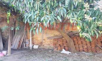 Imagem 5: Casa terrea com 2 quartos em Vila Pereira Cerca