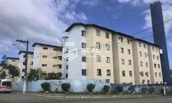 Imagem 2: São Vicente/SP - Samarita