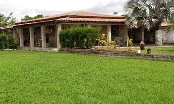 Imagem 3: Vendo Sitio 25/50 Todo Murado Com Cerca Eletrica Valor R$390.000,00. então