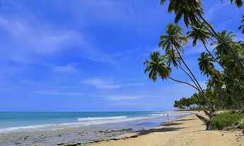 Imagem 2: Flat térreo com jardim na beira mar de Carneiros - 2 suites - Tamandaré