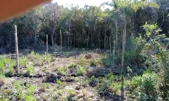Imagem 3: Terreno Terreno / lote com venda por R$5.000