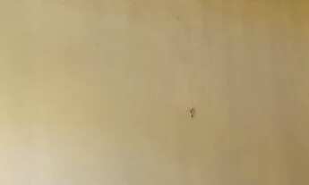 Imagem 4: Casa com 2 dormitórios para alugar, 80 m² por R$ 1.145,00/mês - Vila Redenção - Goiânia/GO