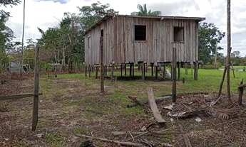 Imagem 3: Sítio no Araçá (BR 319) - R$ 15 mil