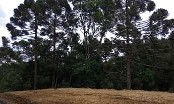 Imagem 6: Sítio, chácara 3,500 metros margens br 282