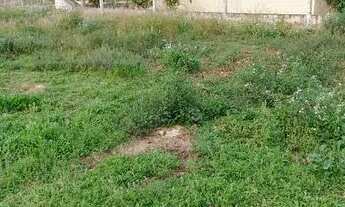 Imagem 2: Terreno escriturado