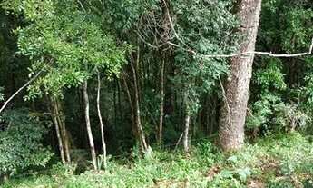 Imagem 7: Sítio, chácara 3,500 metros margens br 282