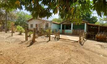 Imagem 7: Fazenda de 20 alqueires em Trindade Go