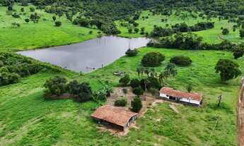 Imagem: Fazenda de 125 alq. Em Caiapônia Go. 100