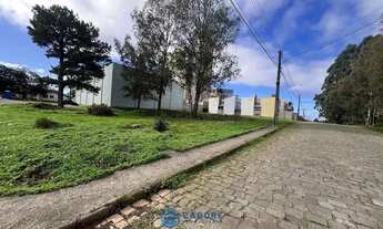 Imagem 7: Terreno de esquina 390m² bairro Desvio Rizzo