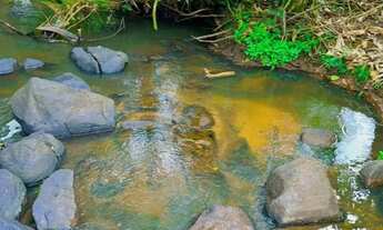 Imagem 4: Alugo chácara por temporada com 3 quartos no Povoado Bananal, Viçosa-AL