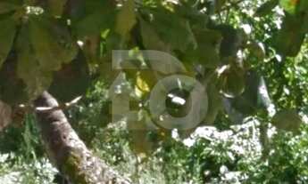 Imagem 4: Lote / Terreno de Bairro Para Vender no bairro Mosqueiro em Aracaju