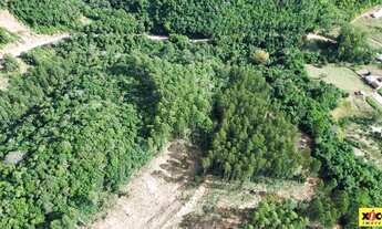 Imagem 6: Sítio / Chácara para Venda em Nova Petrópolis, Arroio Paixão