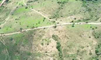 Imagem 2: Vende-se 10 Alq. em Corumbá de Goiás - Próximo a Taguatinga-DF