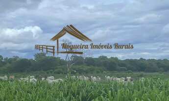 Imagem: Fazenda à venda com 2.150 hectares na região