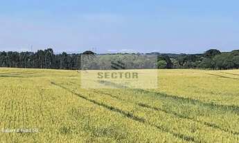 Imagem: Terrenos / Lotes / Condomínio em - São